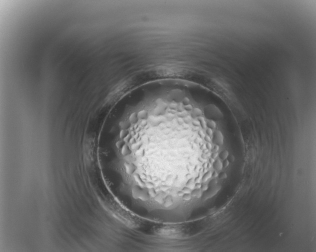 X0000080130171200612151748