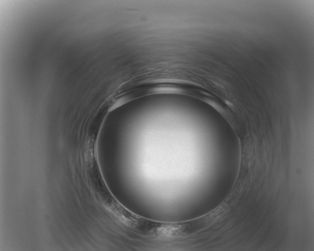 X0000080130172200612151748