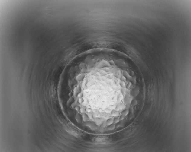 X0000080130173200612151748