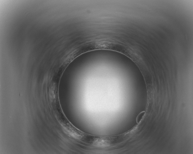 X0000080130174200612151748