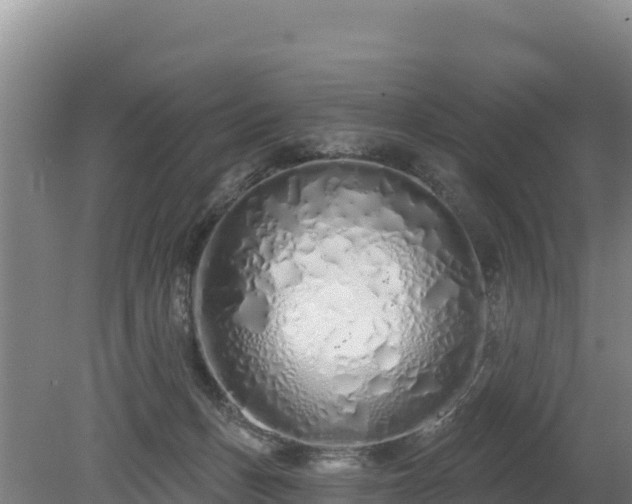 X0000080130175200612151748