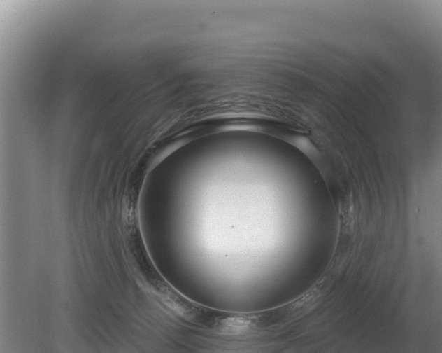 X0000080130176200612151748