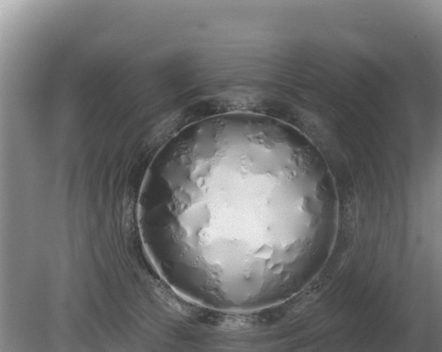 X0000080130177200612151748