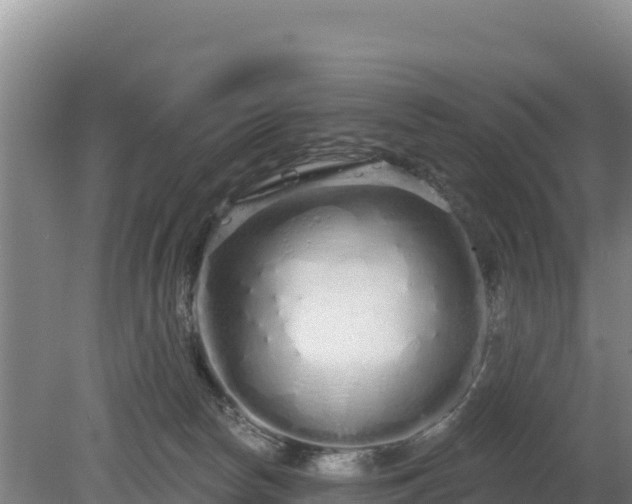 X0000080130178200612151748