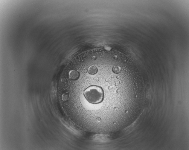 X0000080130179200612151748