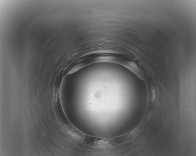 X0000080130180200612151748