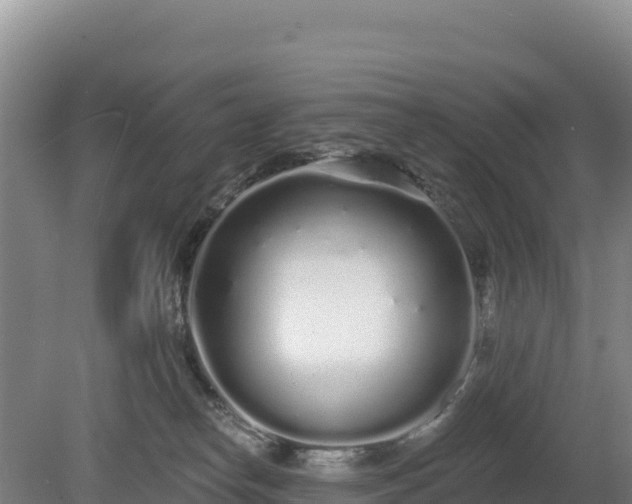 X0000080130182200612151748