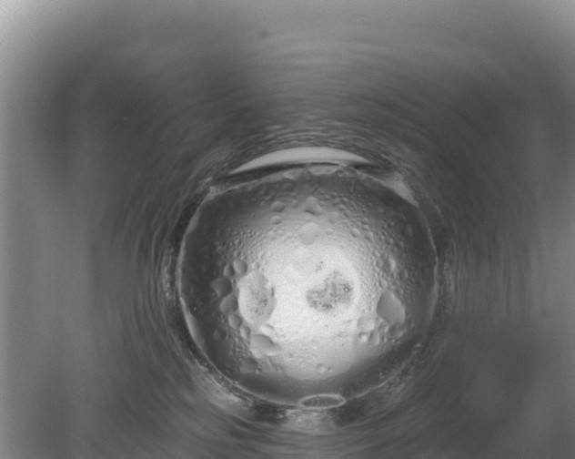 X0000080130185200612151748