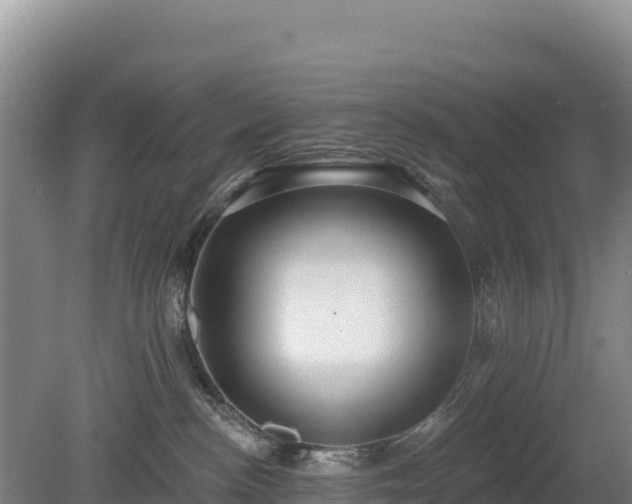 X0000080130188200612151748