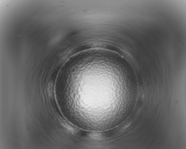 X0000080130189200612151748