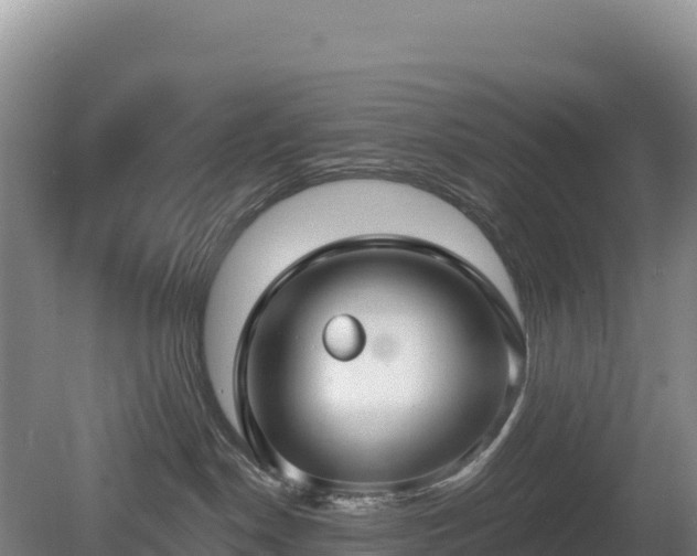 X0000080130190200612151748