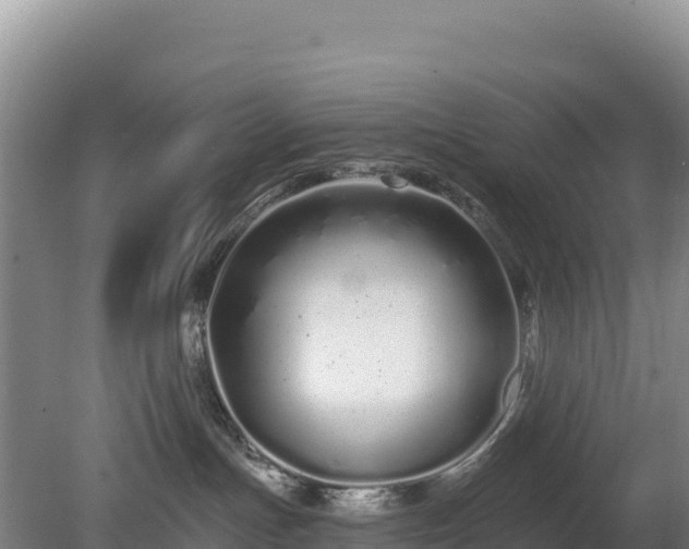 X0000080130191200612151748