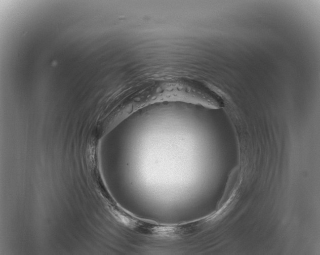 X0000080130192200612151748