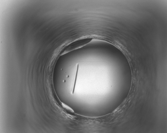 X0000080130193200612151747