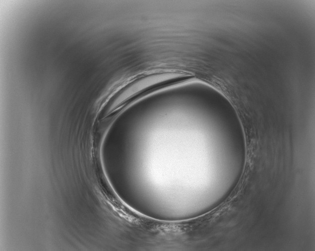 X0000080130194200612151747