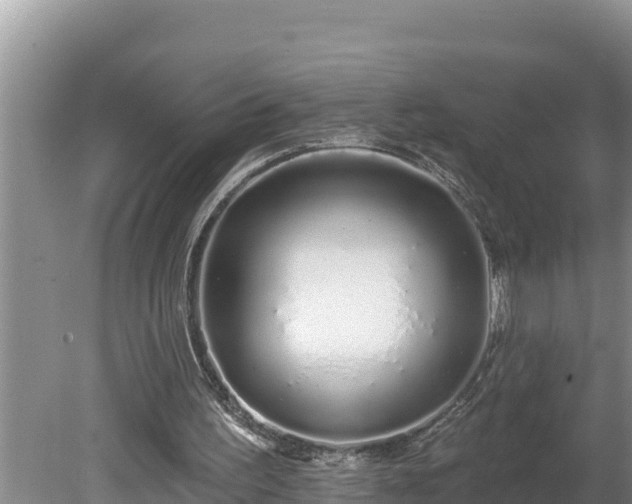 X0000080130195200612151747