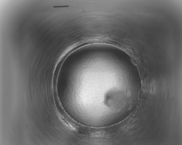 X0000080130196200612151747