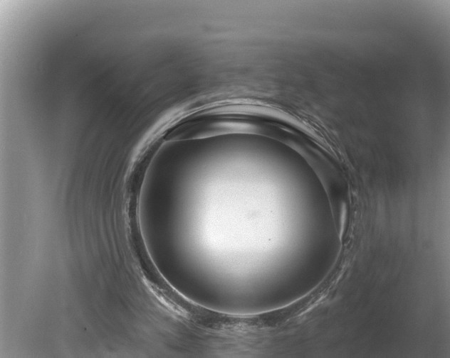 X0000080130197200612151747