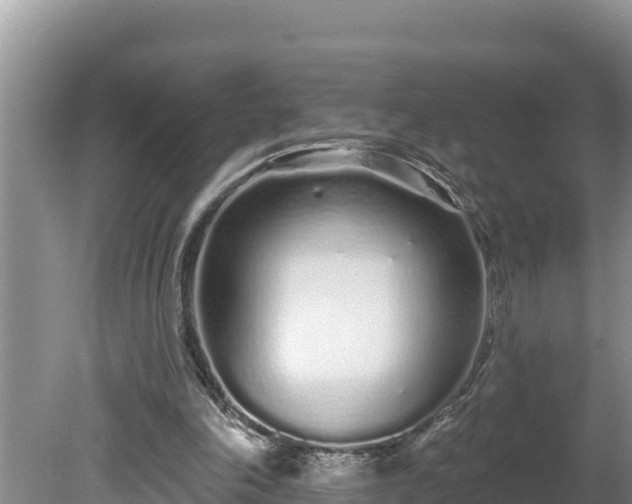 X0000080130198200612151747