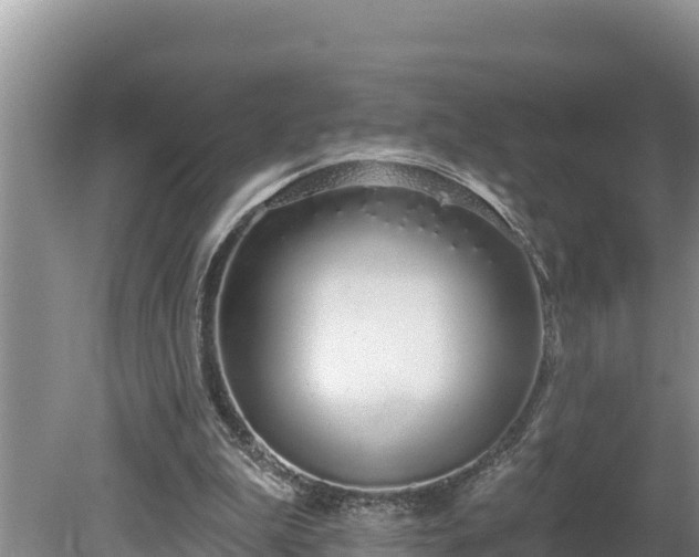 X0000080130199200612151747