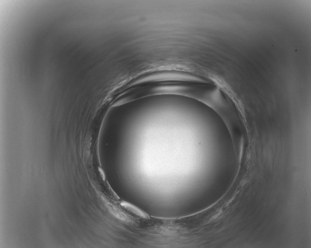 X0000080130201200612151747