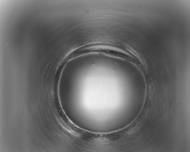 X0000080130203200612151747