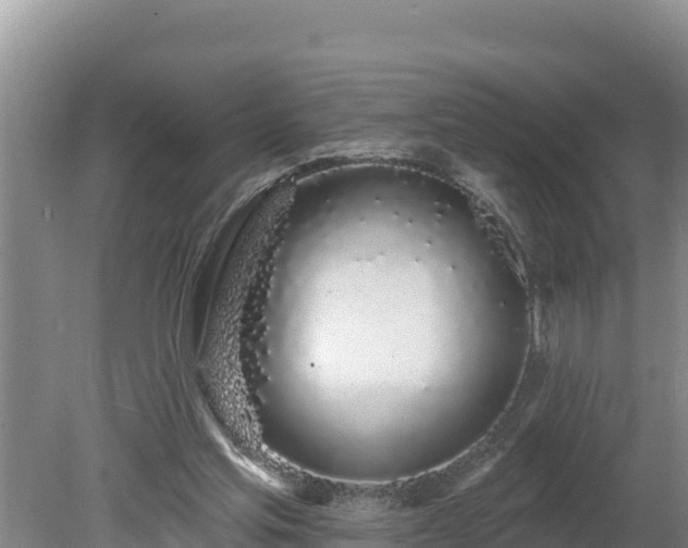 X0000080130205200612151747