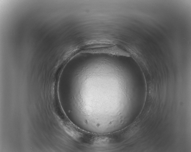 X0000080130206200612151747