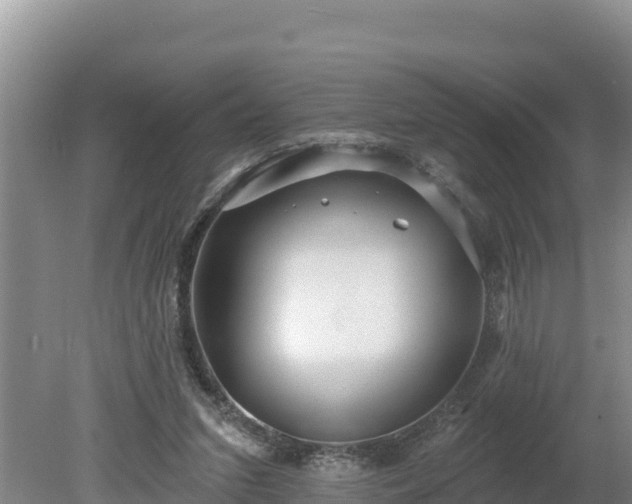 X0000080130207200612151747