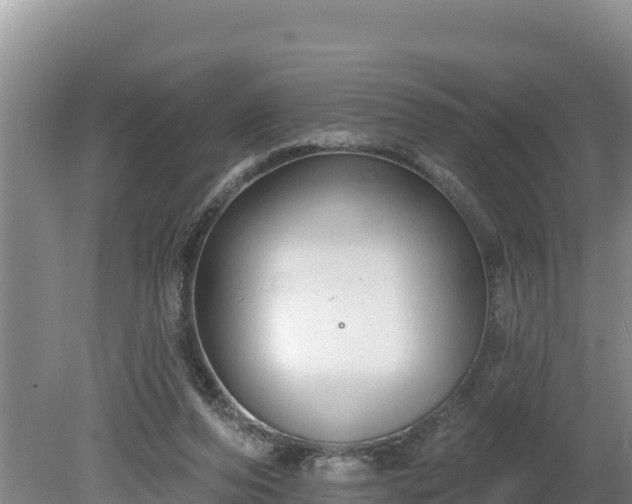 X0000080130208200612151747