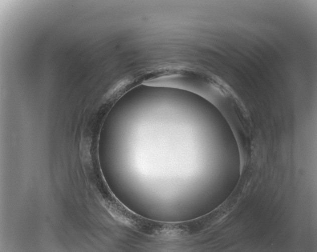 X0000080130209200612151747