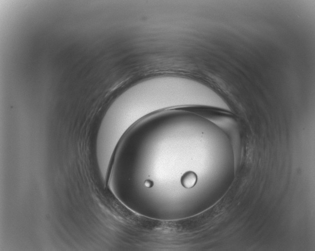 X0000080130211200612151747