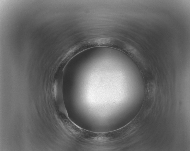 X0000080130212200612151747