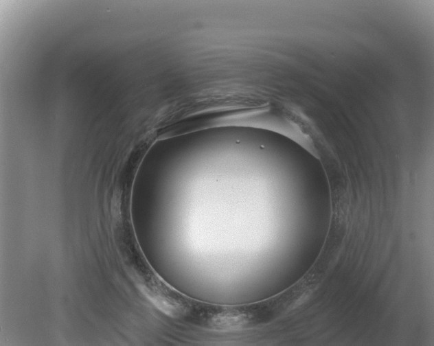 X0000080130213200612151747