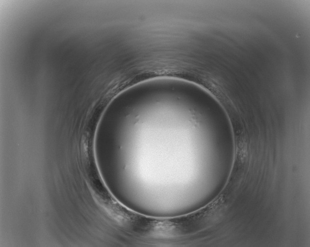 X0000080130214200612151747