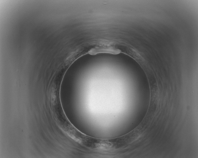 X0000080130215200612151747