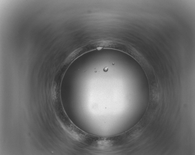 X0000080130216200612151747