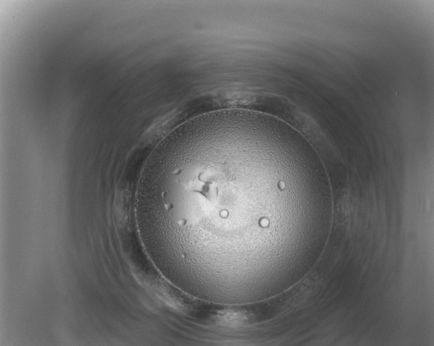 X0000080130218200612151747