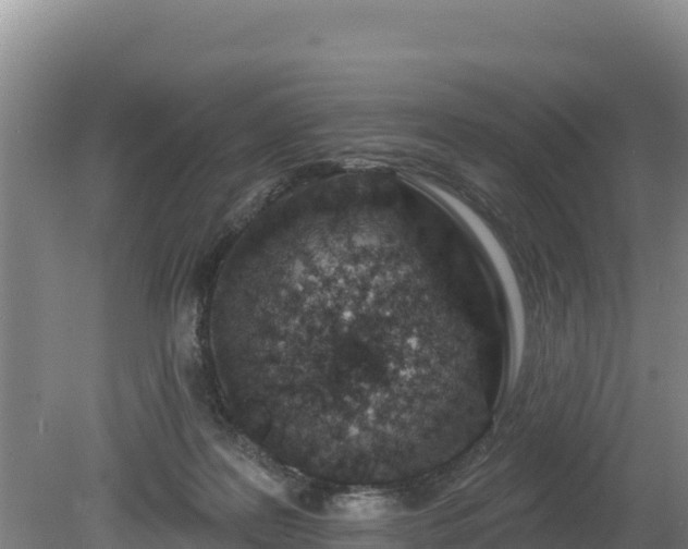 X0000080130219200612151747