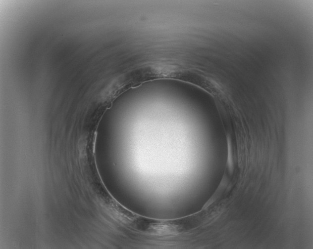 X0000080130221200612151747