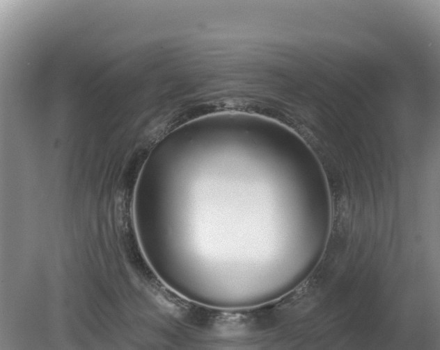 X0000080130222200612151747