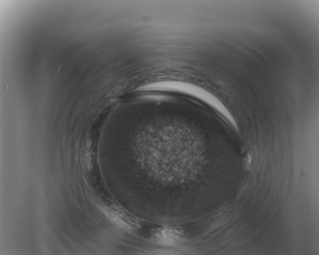 X0000080130223200612151747