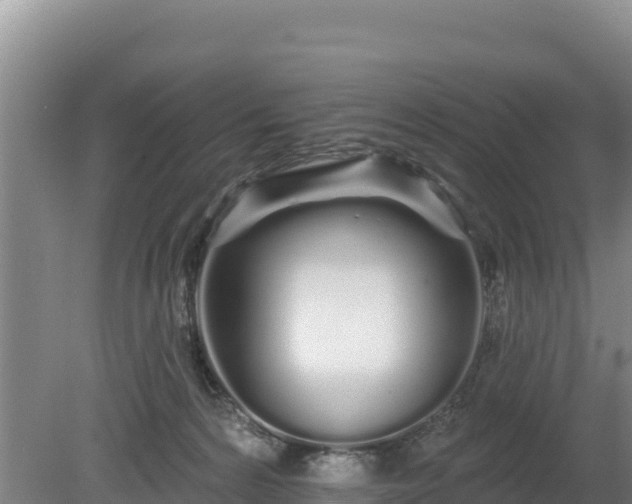 X0000080130224200612151747