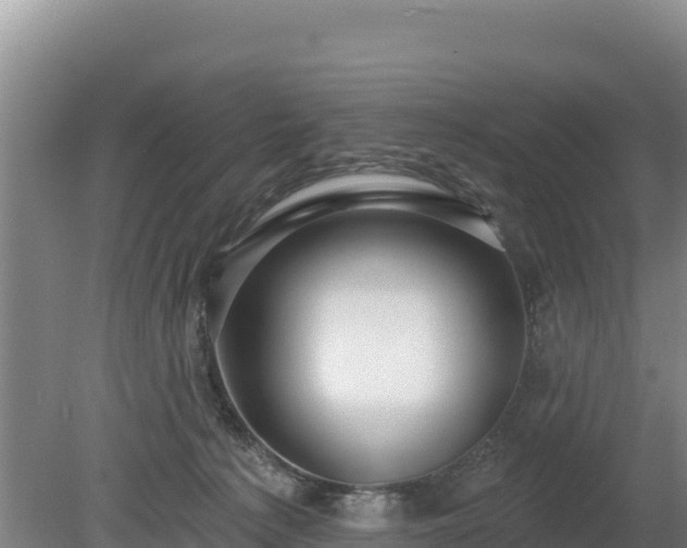 X0000080130225200612151747