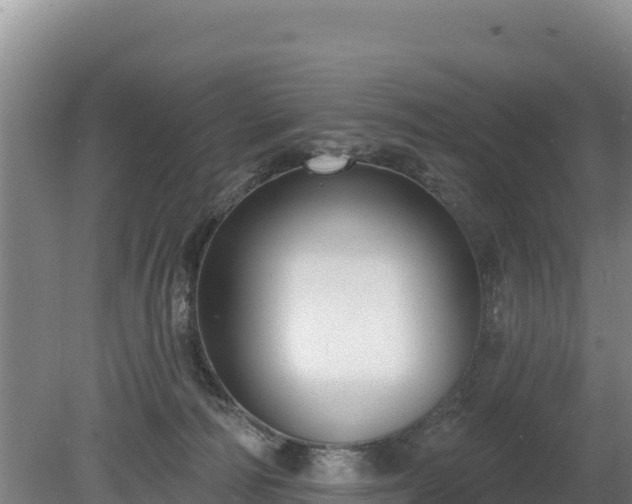 X0000080130226200612151747