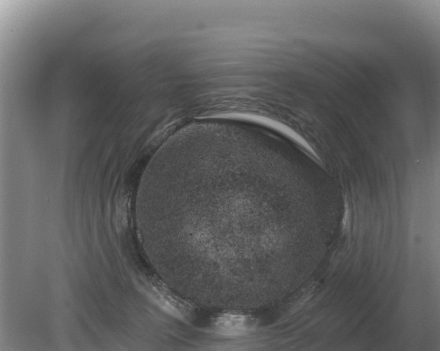 X0000080130227200612151747