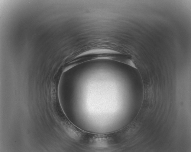 X0000080130228200612151747