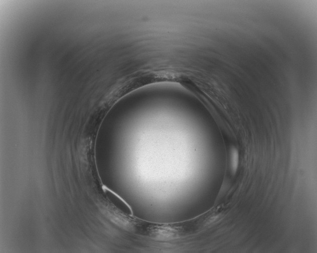 X0000080130229200612151746