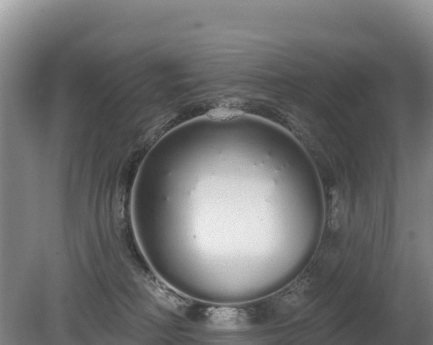 X0000080130230200612151746