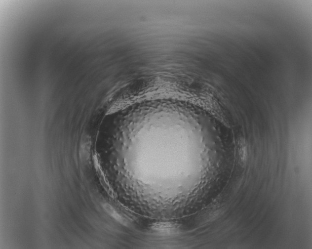 X0000080130231200612151746